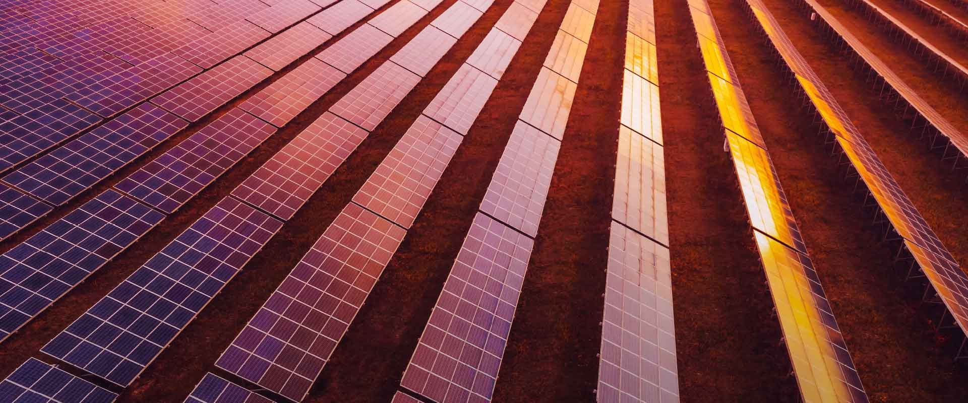 Rijen zonnepanelen in warm avondlicht